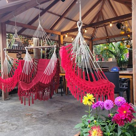 Hostal Hilltop Salento Dış mekan fotoğraf