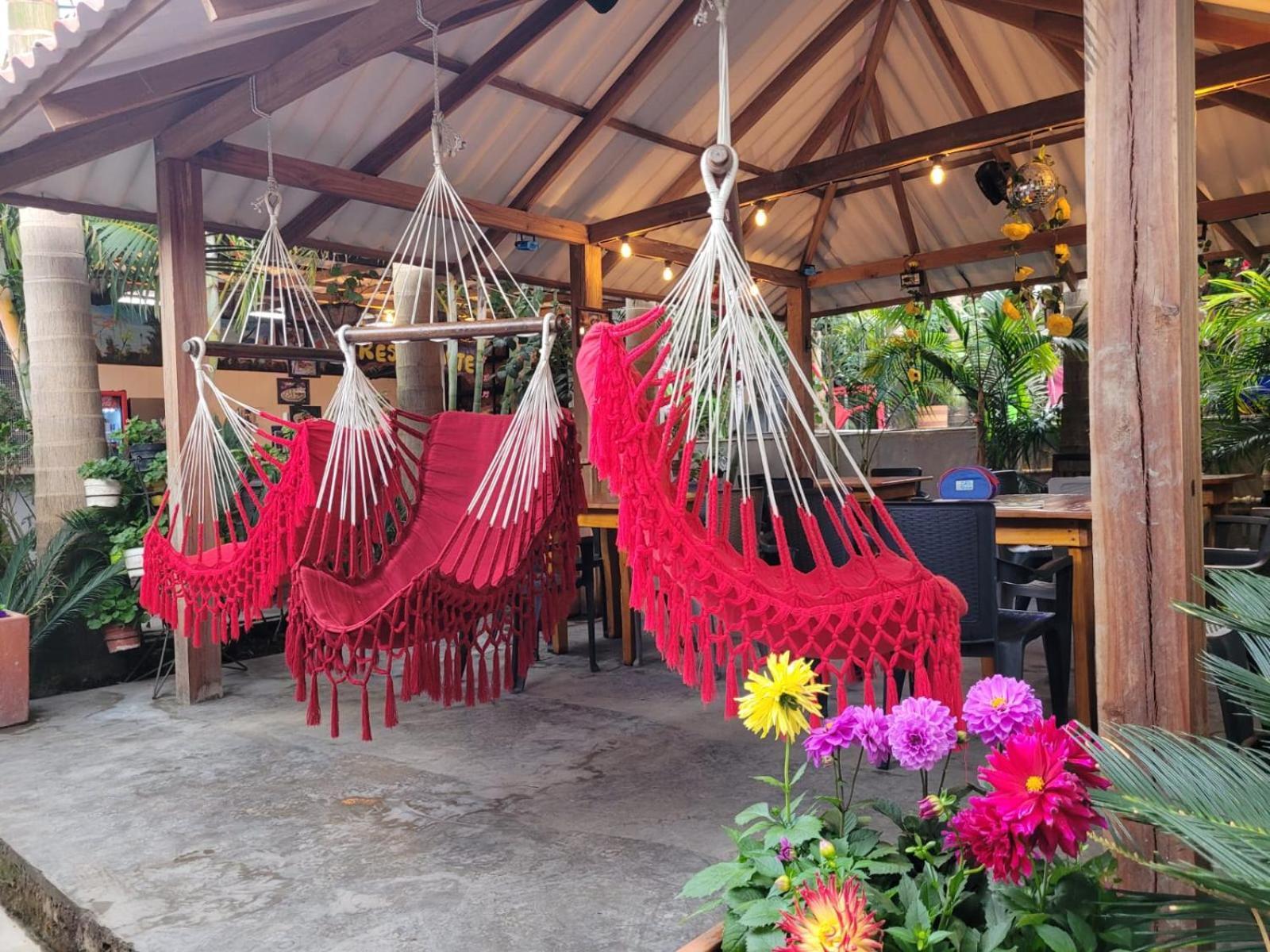 Hostal Hilltop Salento Dış mekan fotoğraf