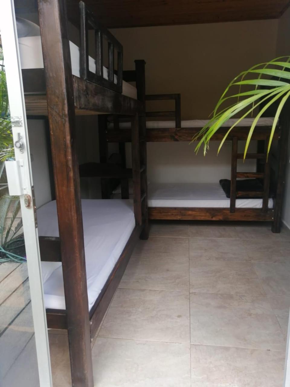 Hostal Hilltop Salento Dış mekan fotoğraf