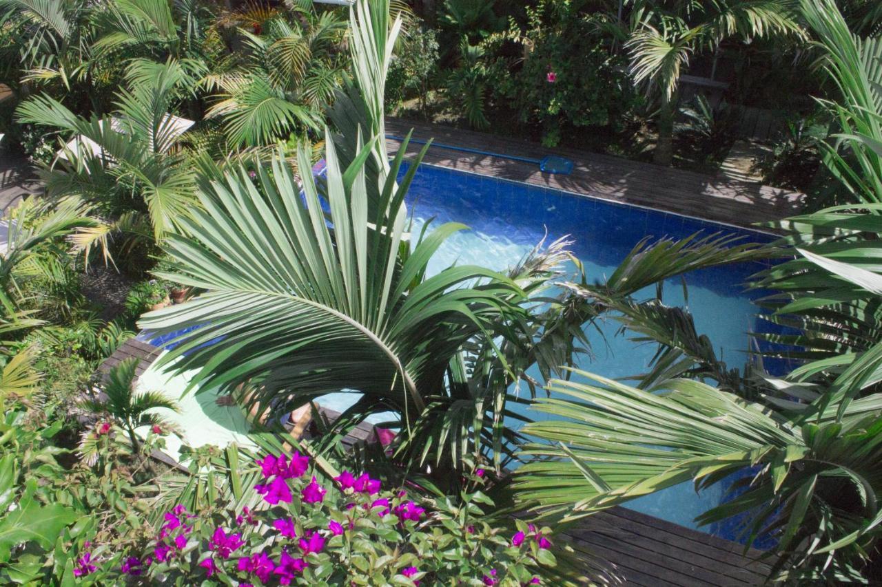 Hostal Hilltop Salento Dış mekan fotoğraf